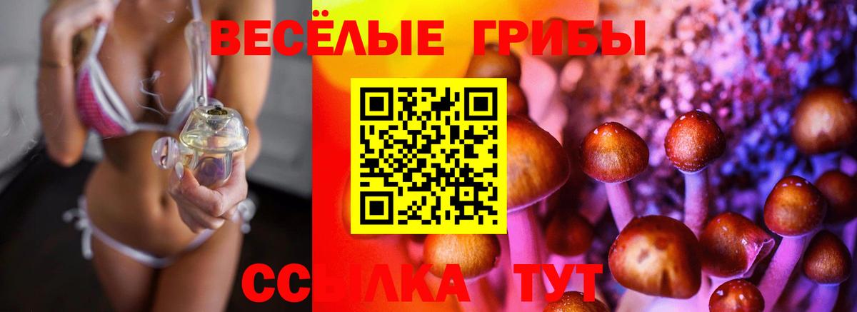 Псилоцибиновые грибы Magic Shrooms  Вход с VPN  Камышлов  дарнет шоп  Галлюциногенные грибы GOLDEN TEACHER 